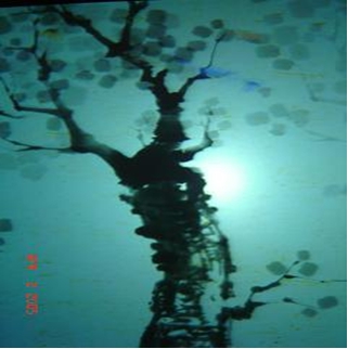 Корея - ЕКСПО 2005